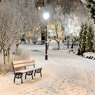 Cozy winter night wallpaper