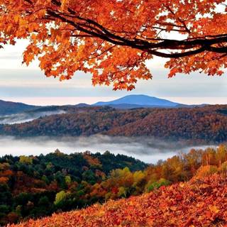 National Park autumn wallpaper