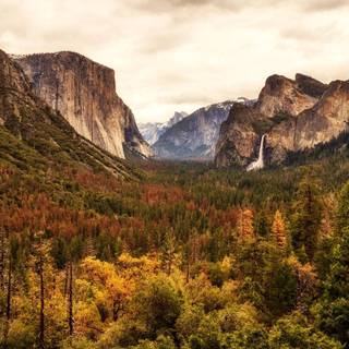 National Park autumn wallpaper