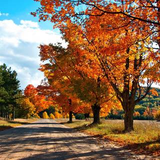 National Park autumn wallpaper
