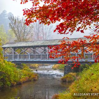 New York autumn desktop wallpaper