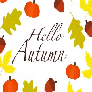 Autumn leaf design wallpaper