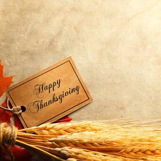 Thanksgiving wheat wallpaper