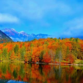 Panoramic autumn landscape wallpaper