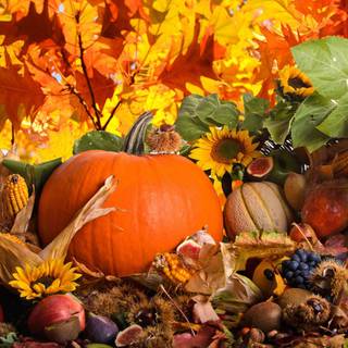 Harvest Thanksgiving wallpaper