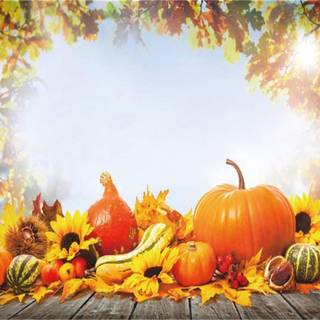 Harvest Thanksgiving wallpaper