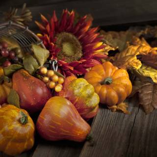 Harvest Thanksgiving wallpaper