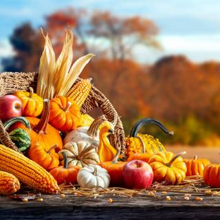 Harvest Thanksgiving wallpaper