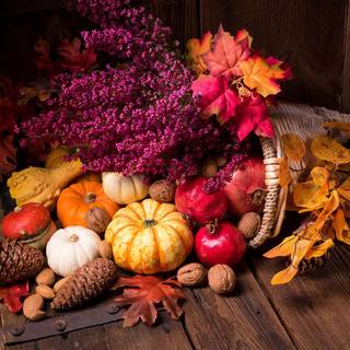 Harvest Thanksgiving wallpaper