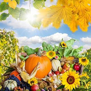 Harvest Thanksgiving wallpaper