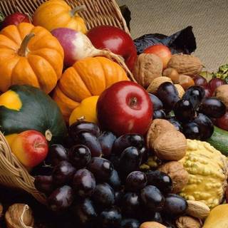 Harvest Thanksgiving wallpaper