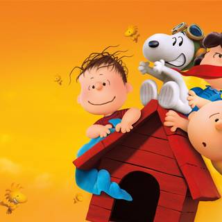 Charlie Brown 4k wallpaper