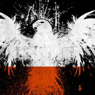 Polish flag iPhone wallpaper