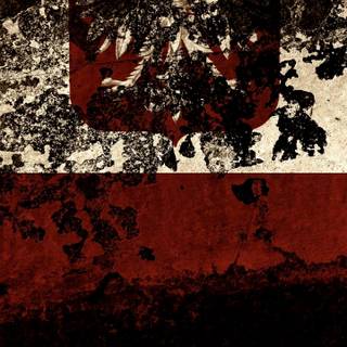 Polish flag iPhone wallpaper