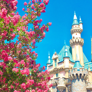 Disneyland iPhone wallpaper