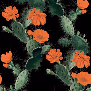 Cactus iPhone wallpaper
