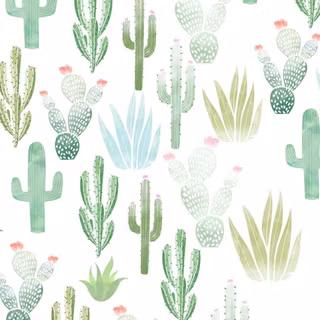 Cactus iPhone wallpaper