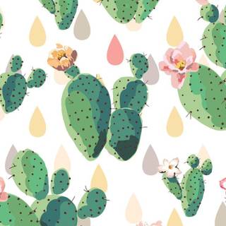 Cactus iPhone wallpaper