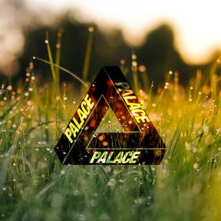 Palace iPhone wallpaper