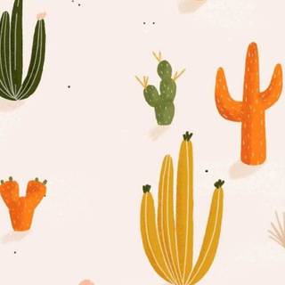 Cactus iPhone wallpaper