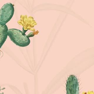 Cactus iPhone wallpaper