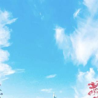 Disneyland iPhone wallpaper