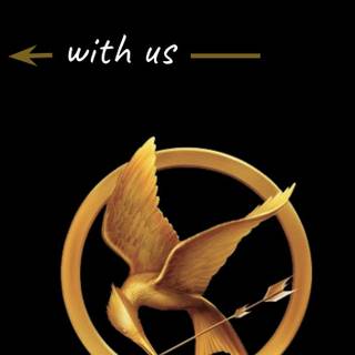 Hunger Games iPhone wallpaper