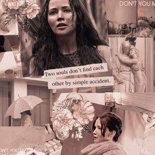 Hunger Games iPhone wallpaper