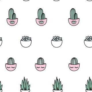 Cactus iPhone wallpaper