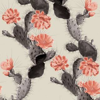 Cactus iPhone wallpaper