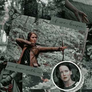 Hunger Games iPhone wallpaper