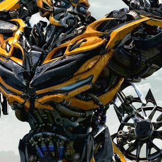 Bumblebee phone wallpaper