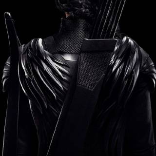 Hunger Games iPhone wallpaper