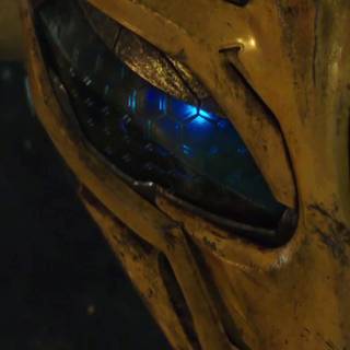 Bumblebee phone wallpaper