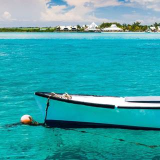 Cyan iPhone wallpaper