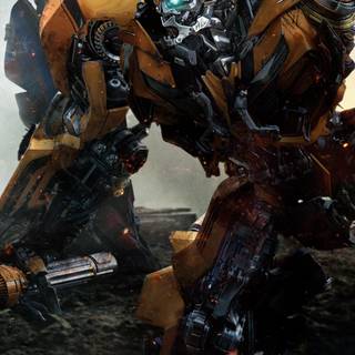 Bumblebee phone wallpaper