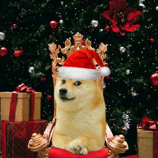 Doge Christmas wallpaper