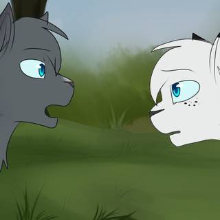 Snowfur Warrior Cats wallpaper