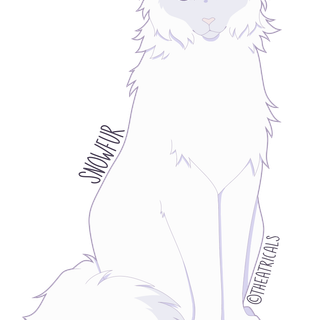 Snowfur Warrior Cats wallpaper