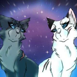 Snowfur Warrior Cats wallpaper