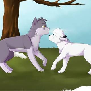 Snowfur Warrior Cats wallpaper