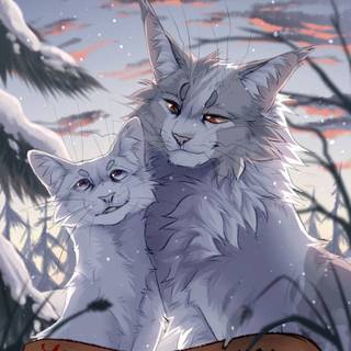 Snowfur Warrior Cats wallpaper