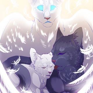Snowfur Warrior Cats wallpaper