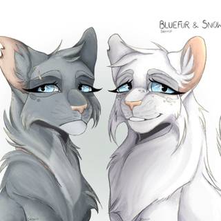 Snowfur Warrior Cats wallpaper