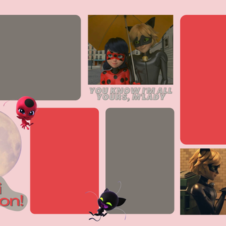 Ladybug PC wallpaper