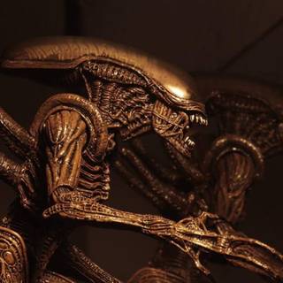 Alien: Resurrection wallpaper