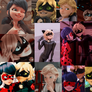 Ladybug PC wallpaper