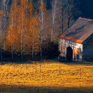 Rustic fall wallpaper