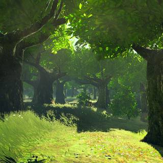 Zelda landscape wallpaper