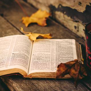 Rustic fall wallpaper